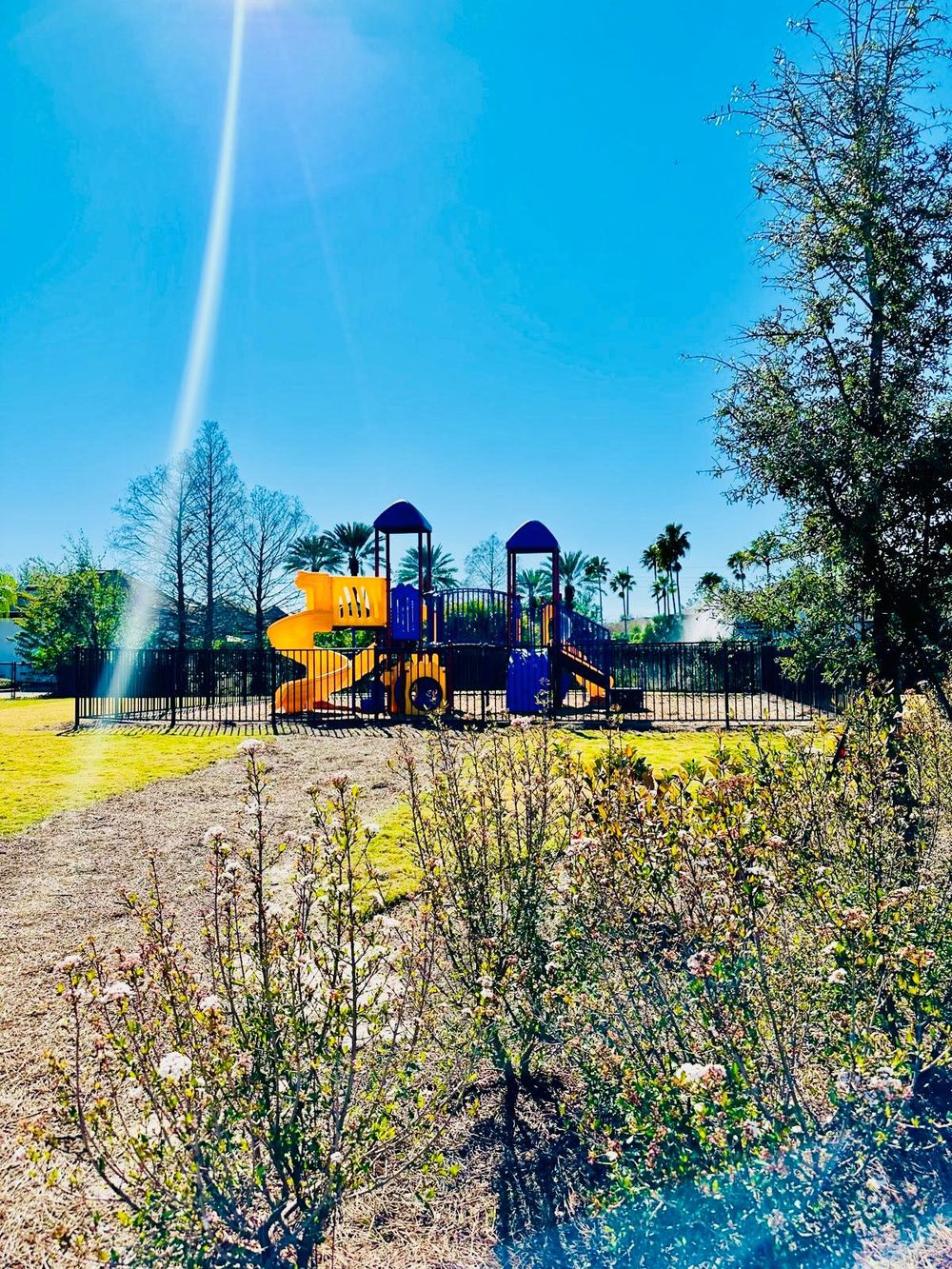 Entorno y paisajismo de Millenia Park